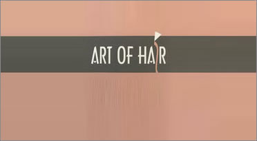 art of hair